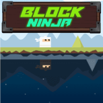 Block Ninja