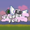 Floppy Fly