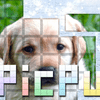 PicPu-Dog